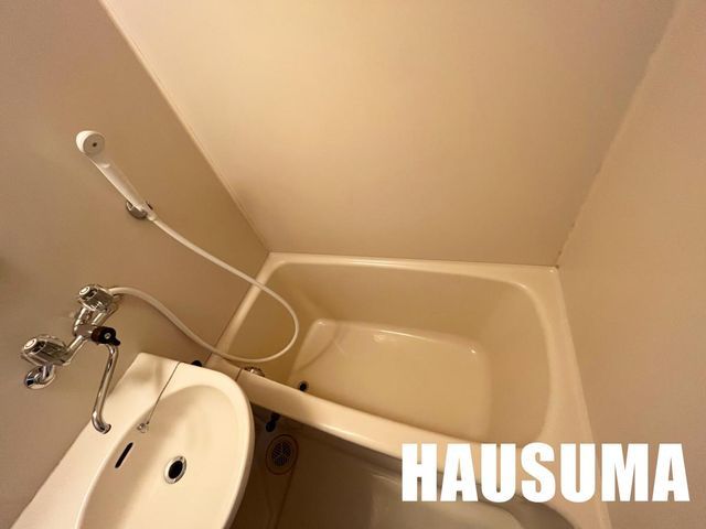 �y�o�X�z�@���������Q�l�ʐ^�i���]�j