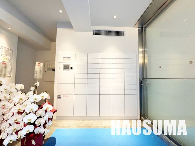 �y���̑��z�@�G���g�����X