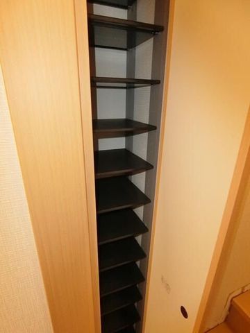 �y���̑��z�@