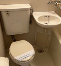 �y���ʏ��z�@