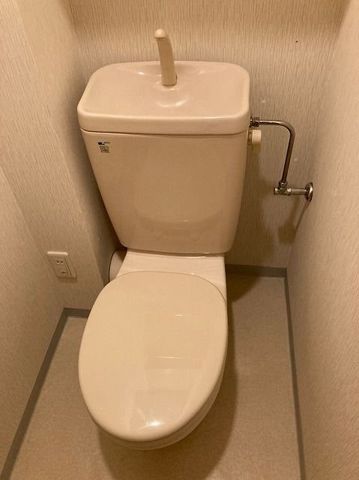 �y�g�C���z�@