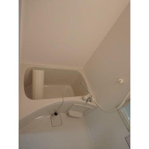 �y�o�X�z�@