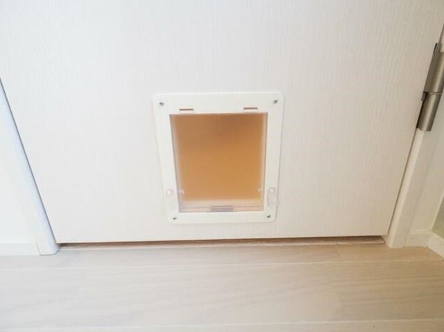 �y���̑��z�@�L���b�g�h�A