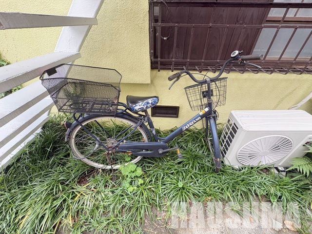 �y���̑��z�@���L����