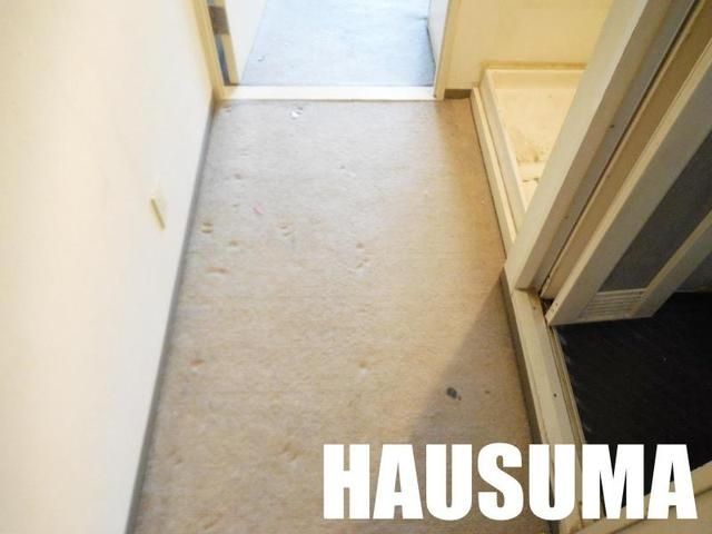 �y���̑��z�@����