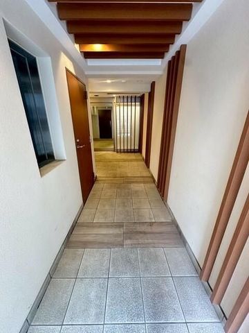 �y�G���g�����X�z�@