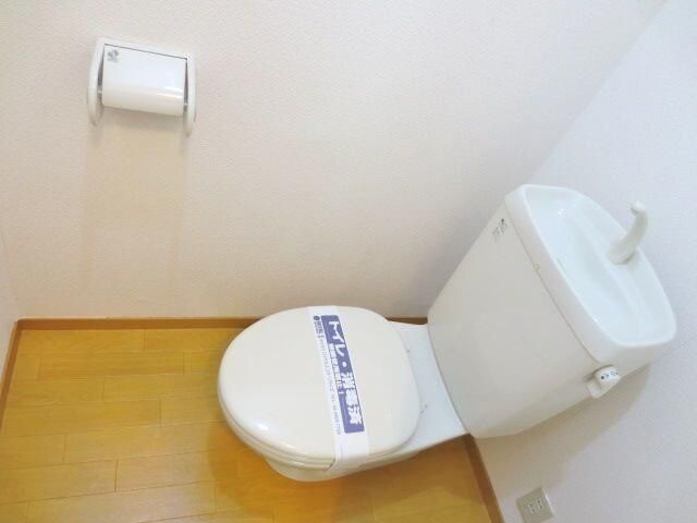 �y�g�C���z�@