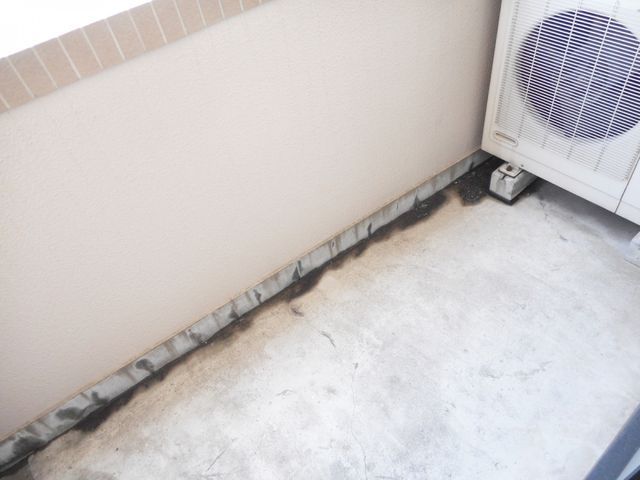 �y�o���R�j�[�z�@�o���R�j�[