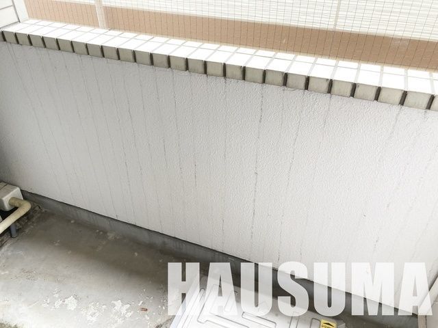 �y���̑��ݔ��z�@�o���R�j�[