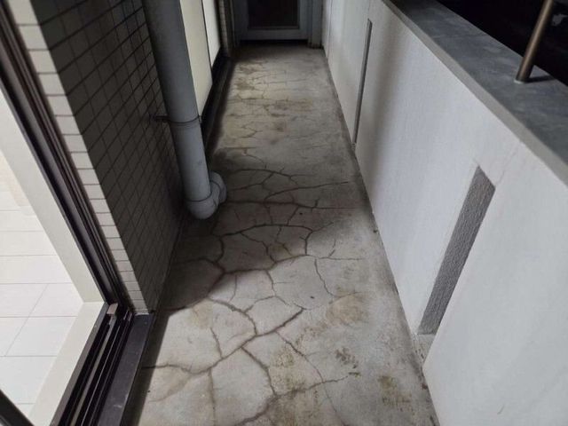 �y�o���R�j�[�z�@