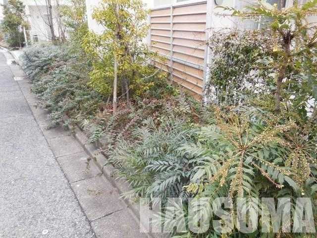 �y���̑��z�@