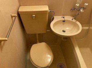 �y���ʏ��z�@�g�C��