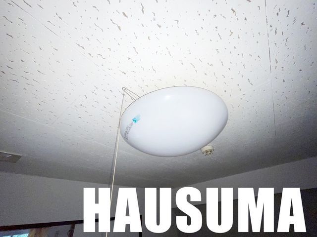 �y���̑��ݔ��z�@�ݔ�