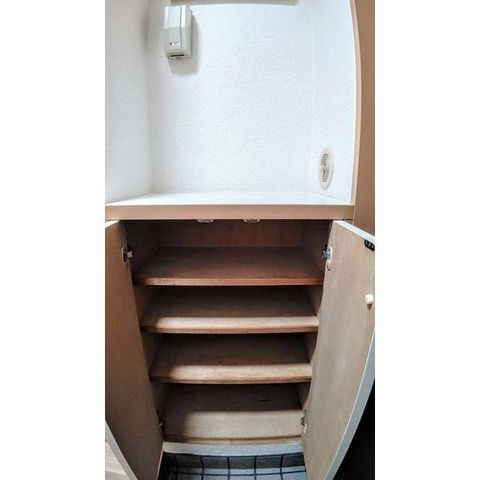 �y���̑��z�@�����^�C�v�������ʐ^�g�p