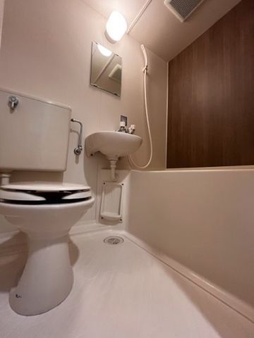 �y�o�X�z�@