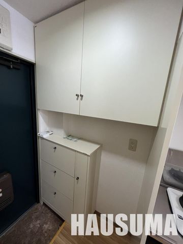 �y���[�z�@���������]�^�C�v