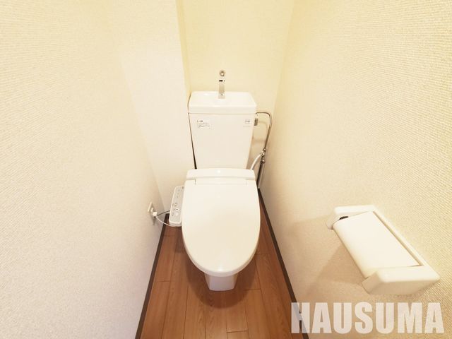 �y�g�C���z�@���������Q�Ǝʐ^��