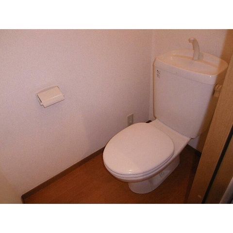 �y�g�C���z�@