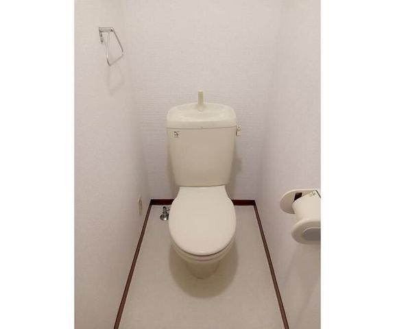 �y�g�C���z�@