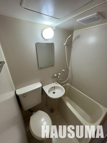 �y�o�X�z�@���������]�^�C�v