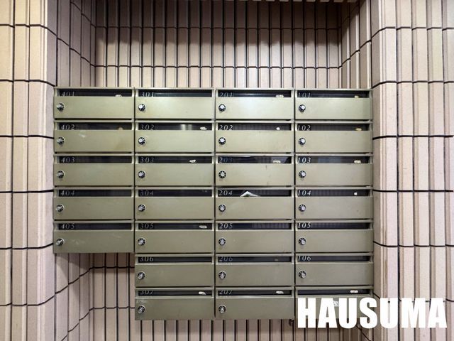 �y���̑��z�@��2024�N11���B�e