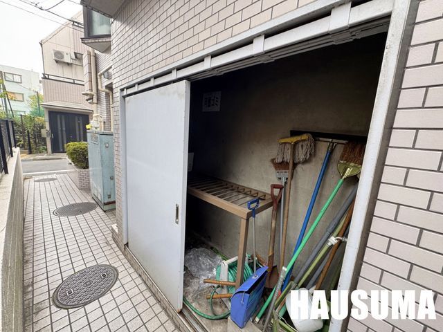 �y���̑��z�@��2024�N11���B�e
