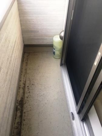 �y�o���R�j�[�z�@